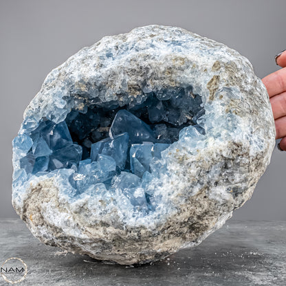 Natürliche Celestit Kristall-Druse - 7149,17g