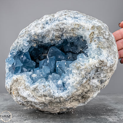 Natürliche Celestit Kristall-Druse - 7149,17g