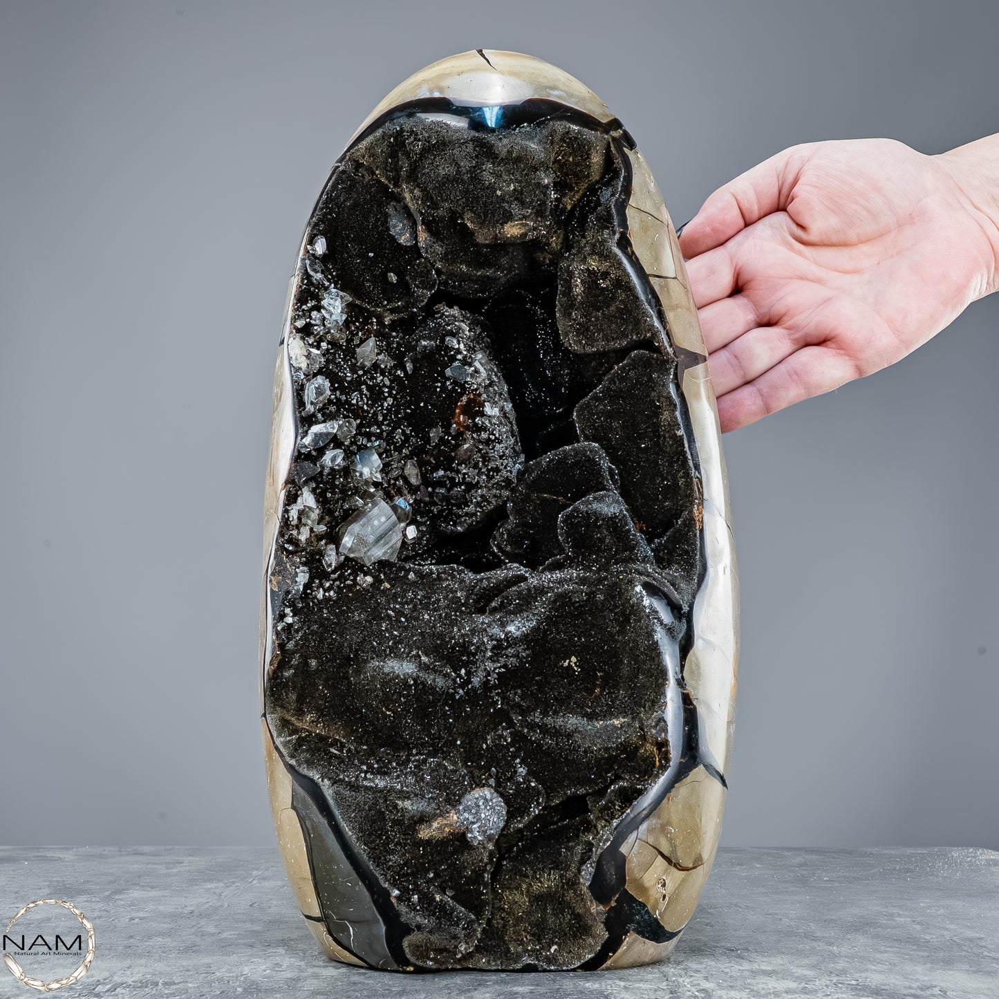 Natürliche Septarien Druse mit Calzit Kristallen, Spitzenqualität - 8678,23g