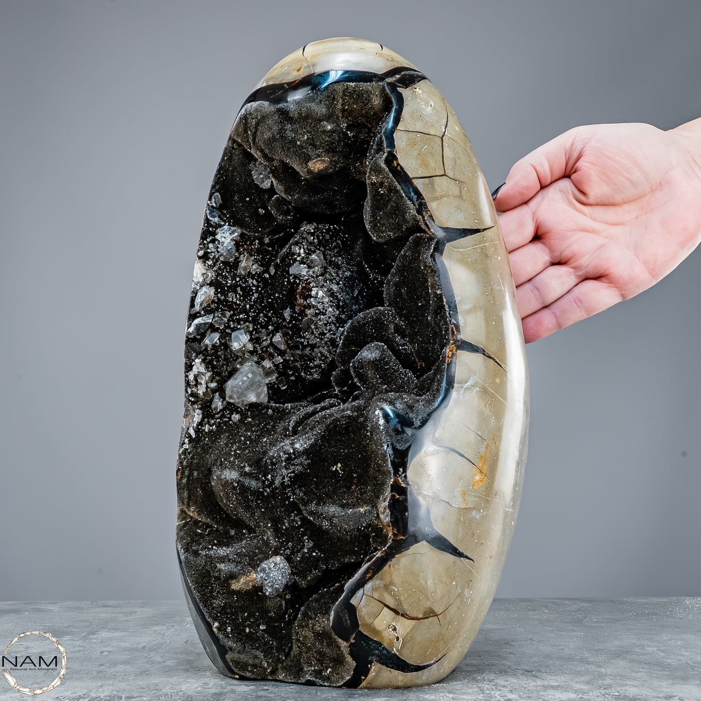 Natürliche Septarien Druse mit Calzit Kristallen, Spitzenqualität - 8678,23g