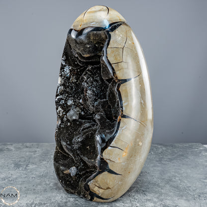 Natürliche Septarien Druse mit Calzit Kristallen, Spitzenqualität - 8678,23g