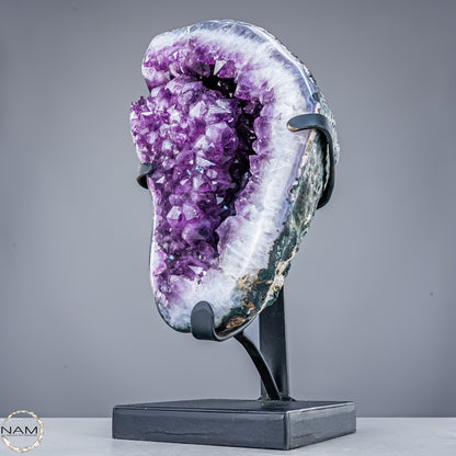 Natürliche Amethyst-Kristalle/Druse auf Ständer - 11267,77g
