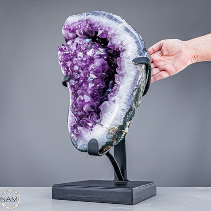 Natürliche Amethyst-Kristalle/Druse auf Ständer - 11267,77g