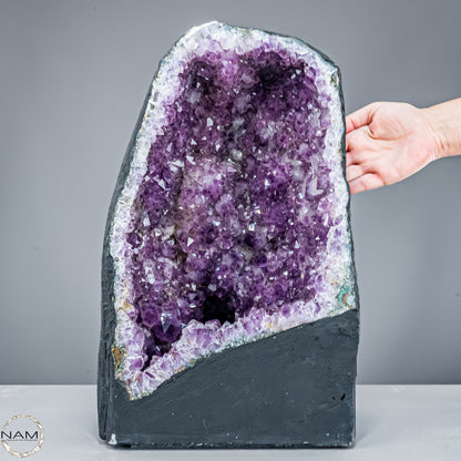 Amethyst-Druse – pures Naturwunder aus Uruguay – 21611,22g