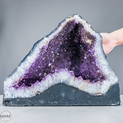 Amethyst-Druse Kathedrale– pures Naturwunder aus Uruguay – 20783,44g
