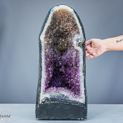 Außergewöhnliche Amethyst-Druse – zweifarbig, aus Uruguay – 28104,55g
