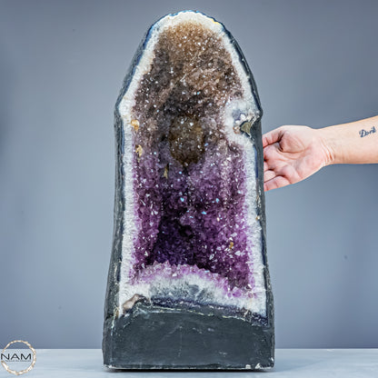 Außergewöhnliche Amethyst-Druse – zweifarbig, aus Uruguay – 28104,55g