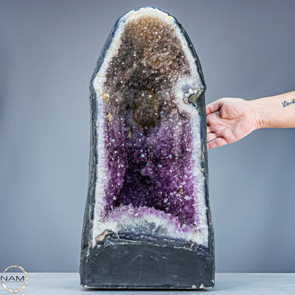 Außergewöhnliche Amethyst-Druse – zweifarbig, aus Uruguay – 28104,55g