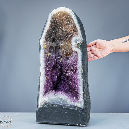 Außergewöhnliche Amethyst-Druse – zweifarbig, aus Uruguay – 28104,55g