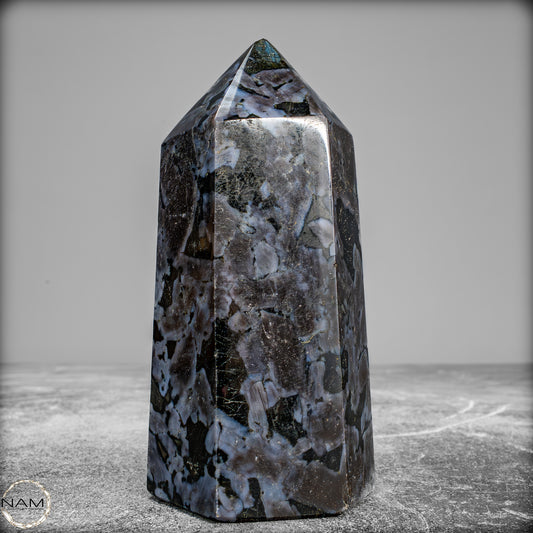 Natürlicher Merlinit (Gabbro) Kristall Obelisk - 588,11 g