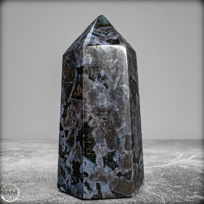 Natürlicher Merlinit (Gabbro) Kristall Obelisk - 588,11 g