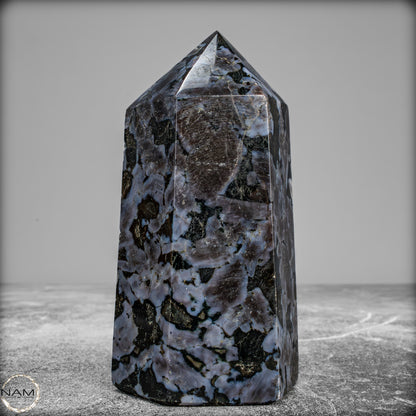 Natürlicher Merlinit (Gabbro) Kristall Obelisk - 588,11 g