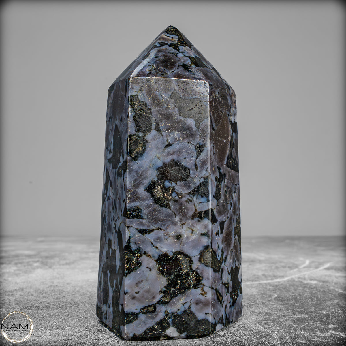 Natürlicher Merlinit (Gabbro) Kristall Obelisk - 588,11 g