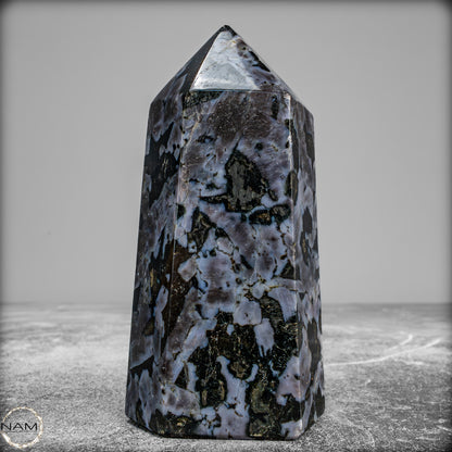Natürlicher Merlinit (Gabbro) Kristall Obelisk - 588,11 g