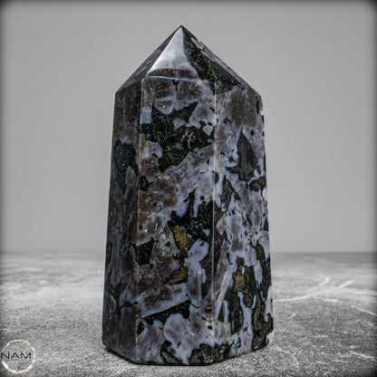 Natürlicher Merlinit (Gabbro) Kristall Obelisk - 588,11 g