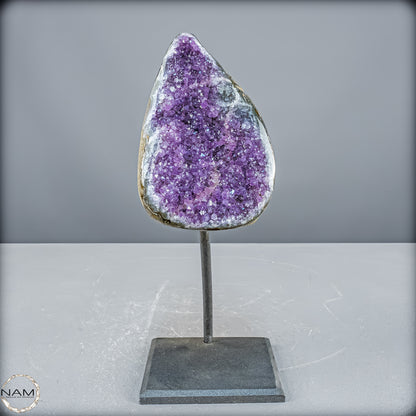 Natürliche Amethyst-Kristalle/Druse auf Ständer - 1907,65 g
