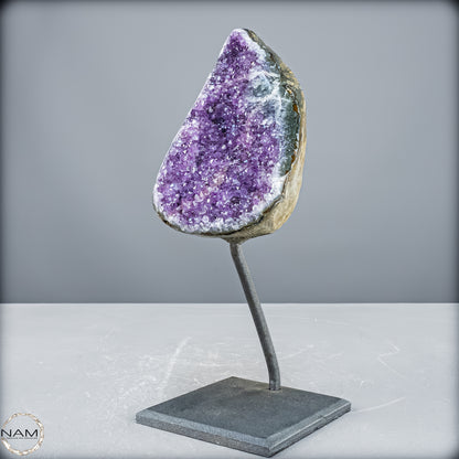 Natürliche Amethyst-Kristalle/Druse auf Ständer - 1907,65 g