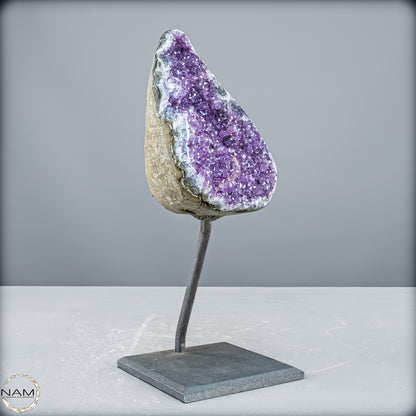 Natürliche Amethyst-Kristalle/Druse auf Ständer - 1907,65 g