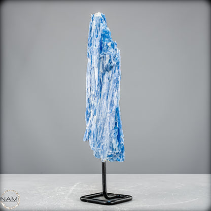 Natürlicher Kyanit-Kristall Cluster auf Ständer aus Brasilien - 447,33 g