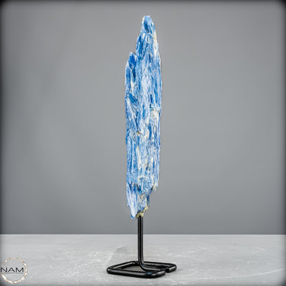 Natürlicher Kyanit-Kristall Cluster auf Ständer aus Brasilien - 447,33 g