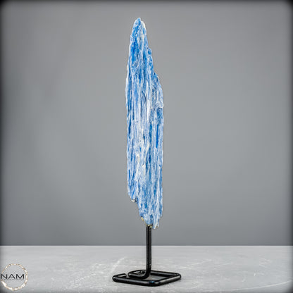 Natürlicher Kyanit-Kristall Cluster auf Ständer aus Brasilien - 447,33 g