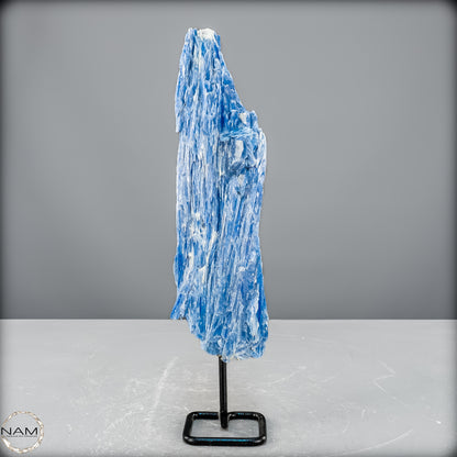 Natürlicher Kyanit-Kristall Cluster auf Ständer aus Brasilien - 447,33 g