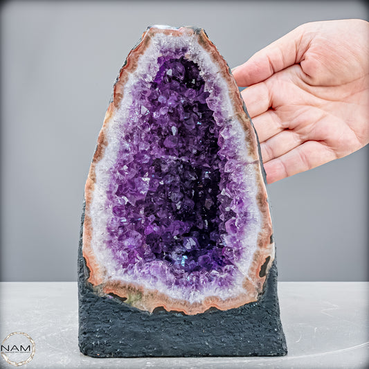 Natürliche Amethyst-Kristall Druse - 2746,87 g