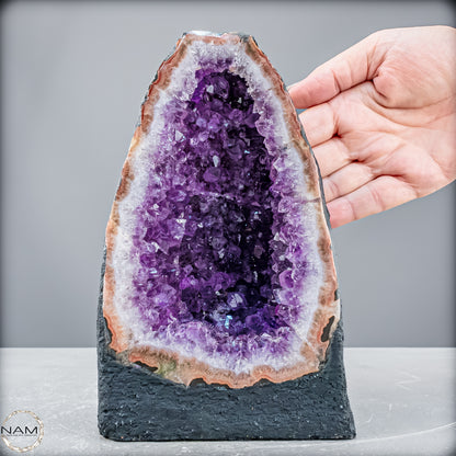 Natürliche Amethyst-Kristall Druse - 2746,87 g