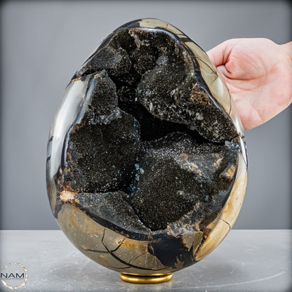 Natürliche Septarien Druse mit Calzit Kristallen, Spitzenqualität - 6190,74 g