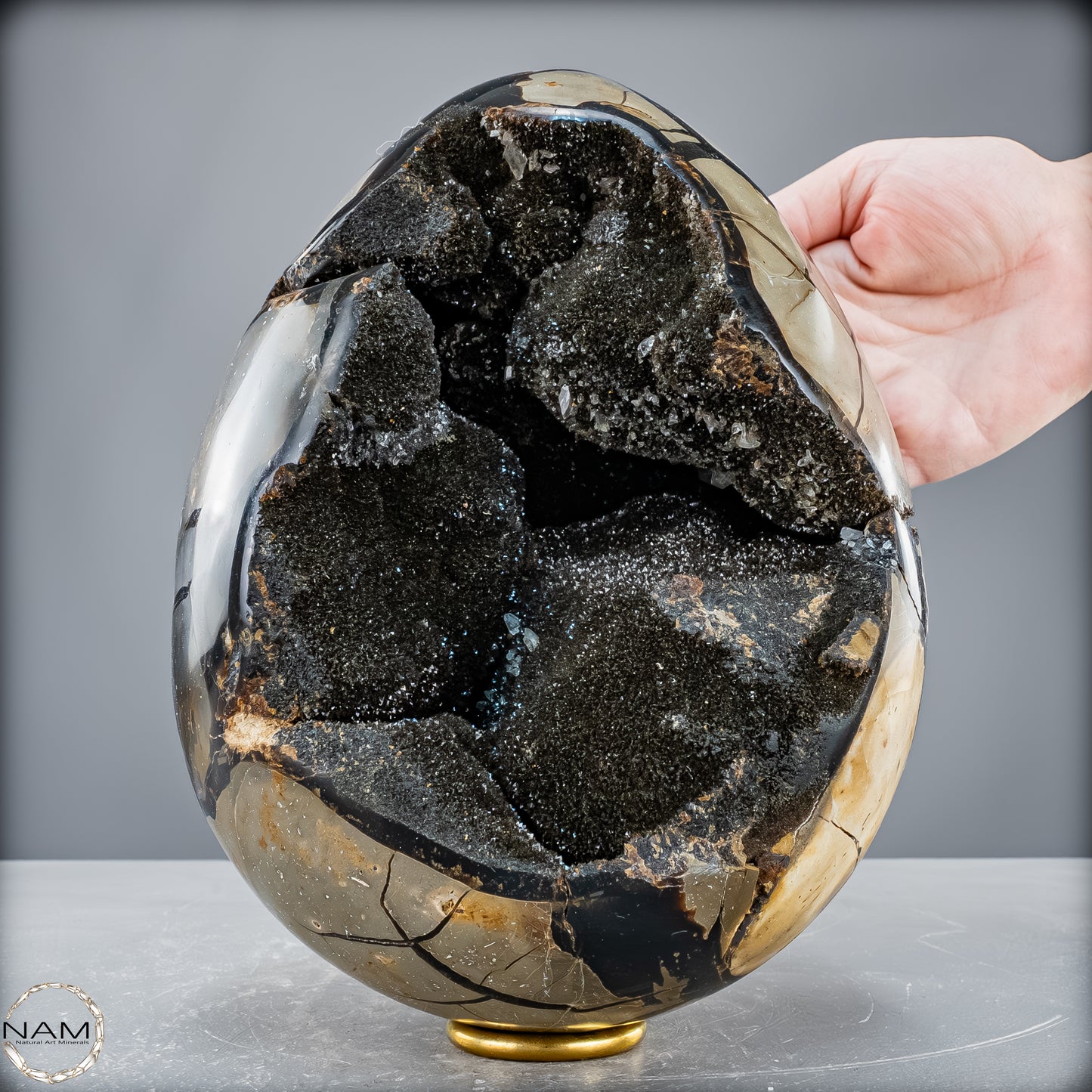 Natürliche Septarien Druse mit Calzit Kristallen, Spitzenqualität - 6190,74 g