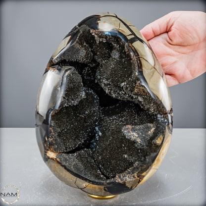 Natürliche Septarien Druse mit Calzit Kristallen, Spitzenqualität - 6190,74 g