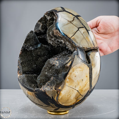 Natürliche Septarien Druse mit Calzit Kristallen, Spitzenqualität - 6190,74 g