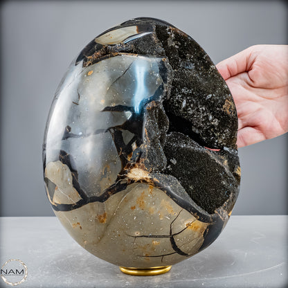 Natürliche Septarien Druse mit Calzit Kristallen, Spitzenqualität - 6190,74 g