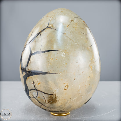 Natürliche Septarien Druse mit Calzit Kristallen, Spitzenqualität - 6190,74 g