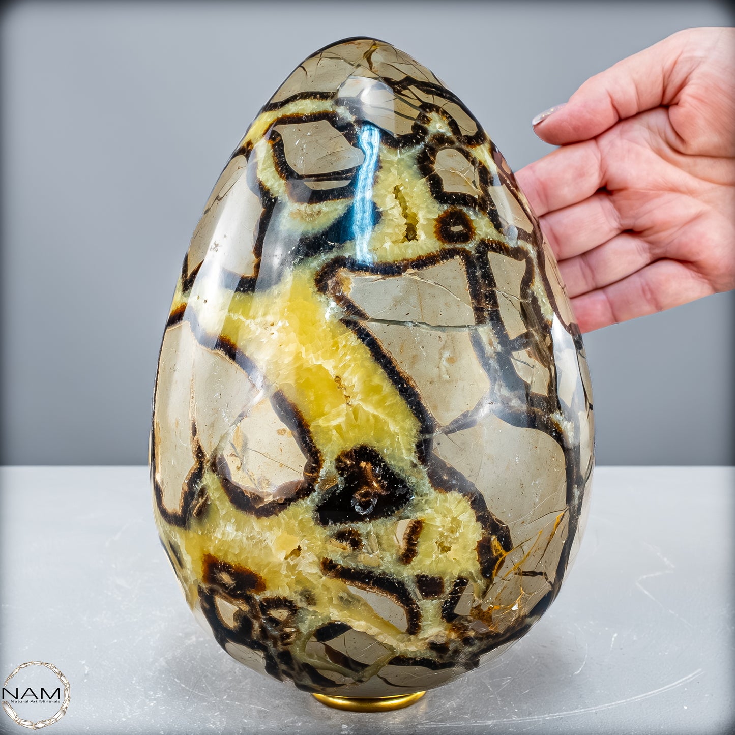 Natürliches Großes Septarien Druse Ei mit Calcit Kristallen - 6536,78 g