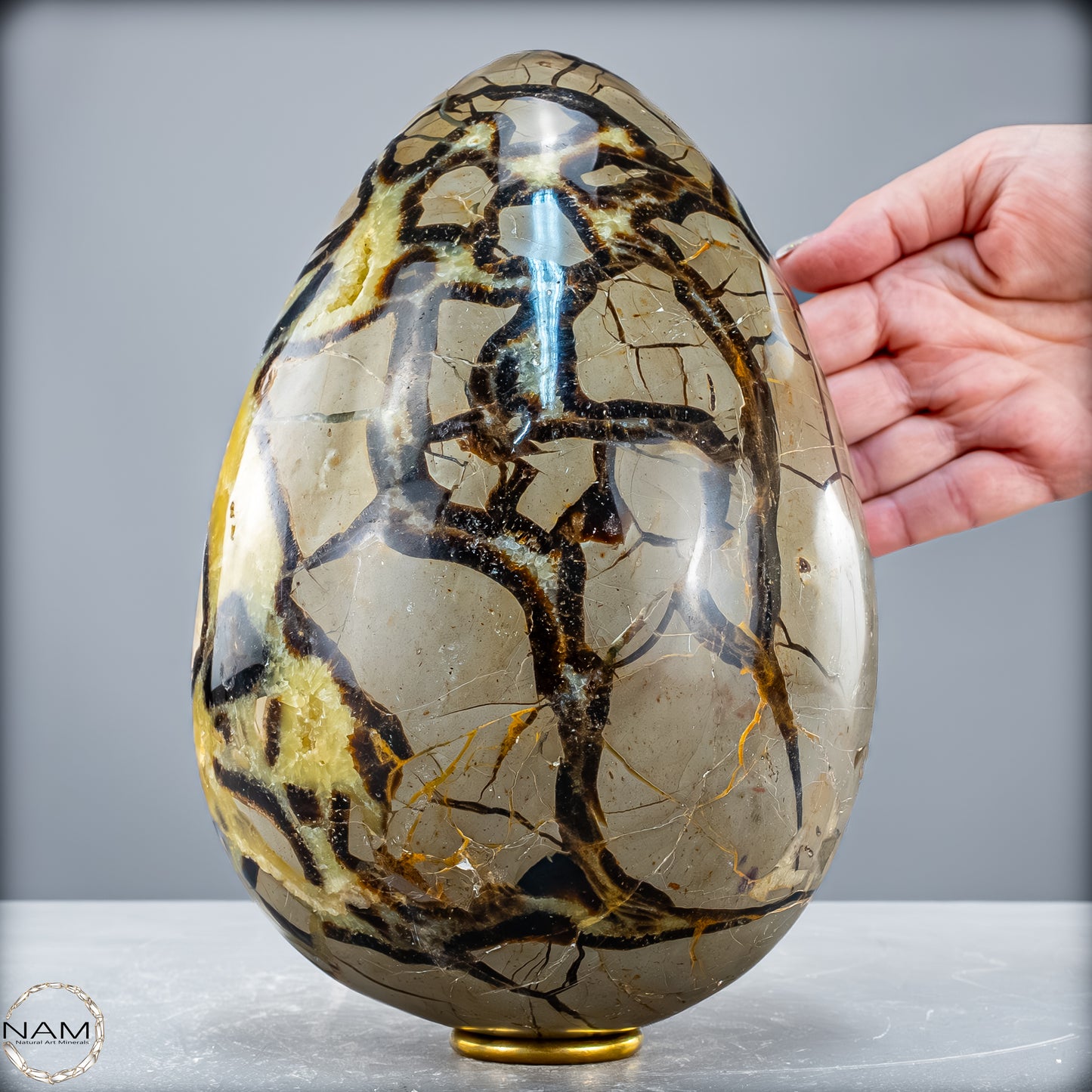 Natürliches Großes Septarien Druse Ei mit Calcit Kristallen - 6536,78 g