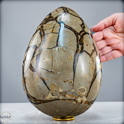 Natürliches Großes Septarien Druse Ei mit Calcit Kristallen - 6536,78 g