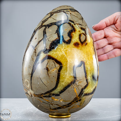 Natürliches Großes Septarien Druse Ei mit Calcit Kristallen - 6536,78 g