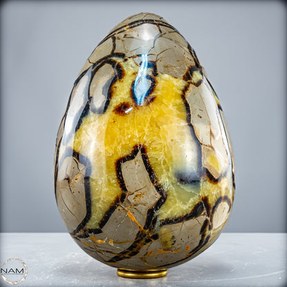 Natürliches Großes Septarien Druse Ei mit Calcit Kristallen - 6536,78 g