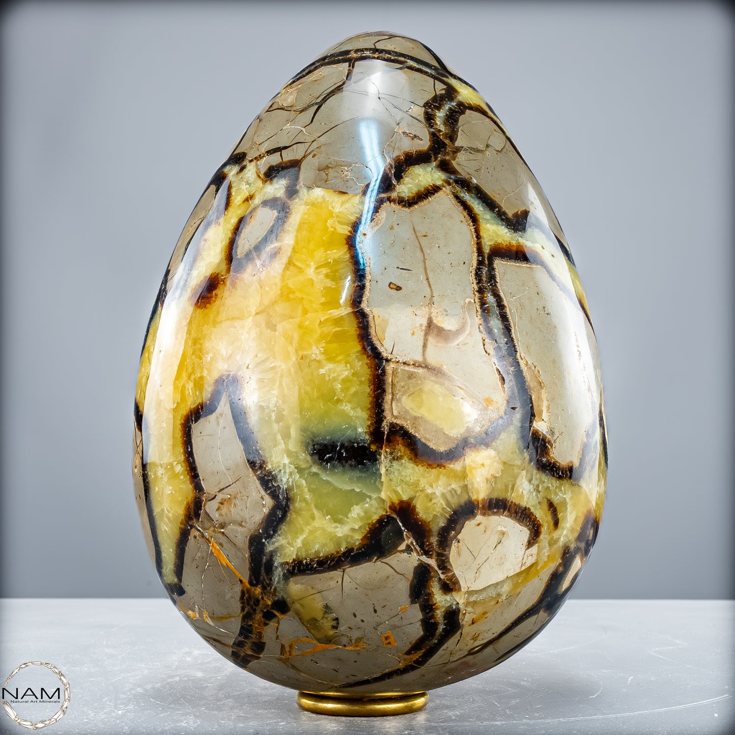 Natürliches Großes Septarien Druse Ei mit Calcit Kristallen - 6536,78 g