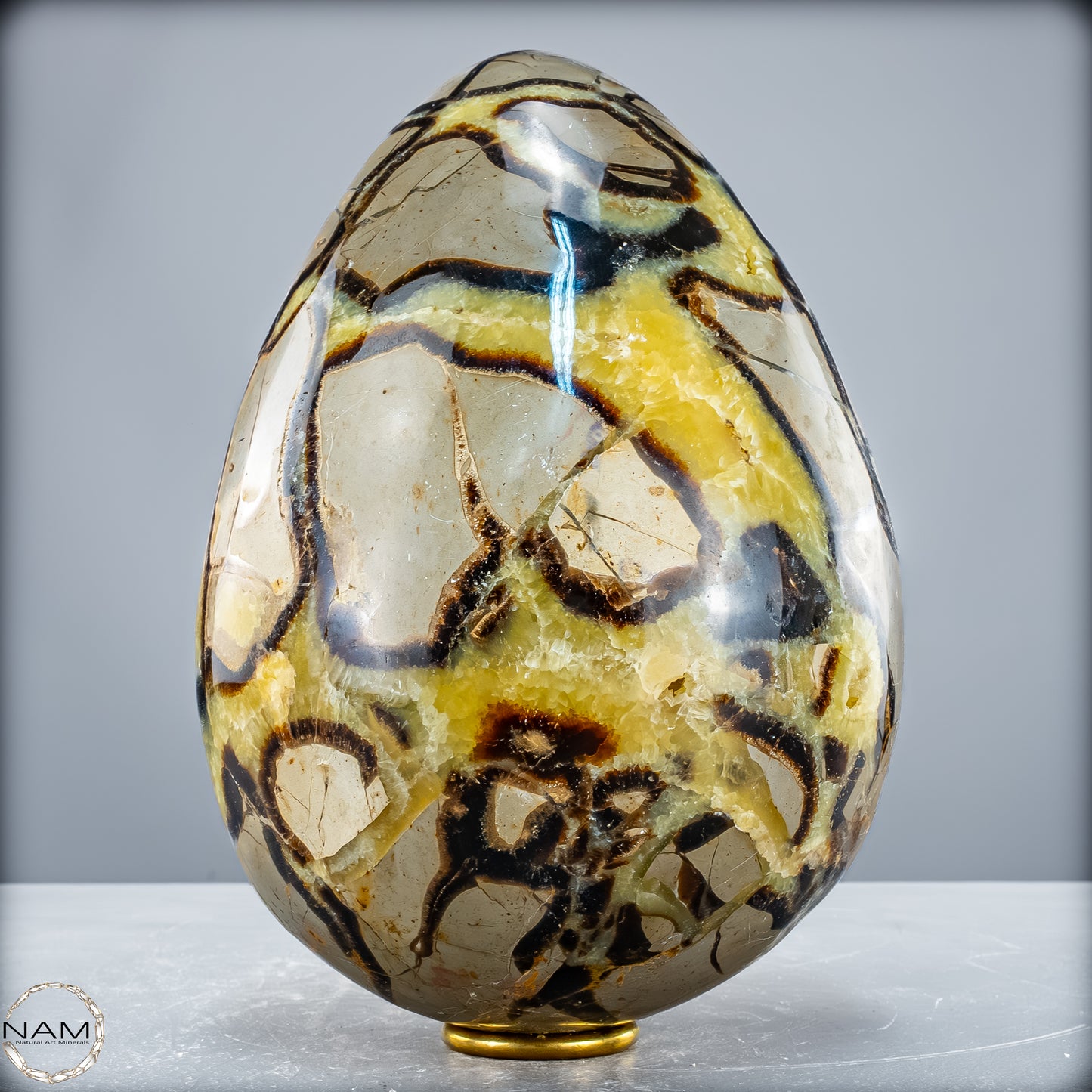 Natürliches Großes Septarien Druse Ei mit Calcit Kristallen - 6536,78 g