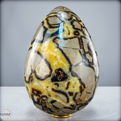 Natürliches Großes Septarien Druse Ei mit Calcit Kristallen - 6536,78 g