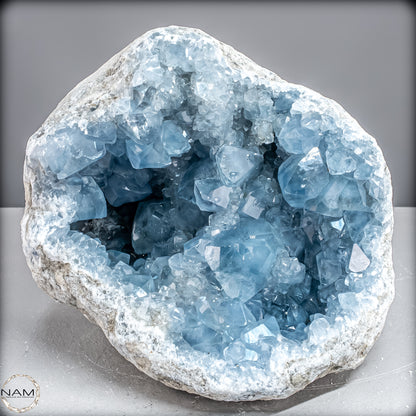Natürliche Celestit Kristall-Druse -7258,47g