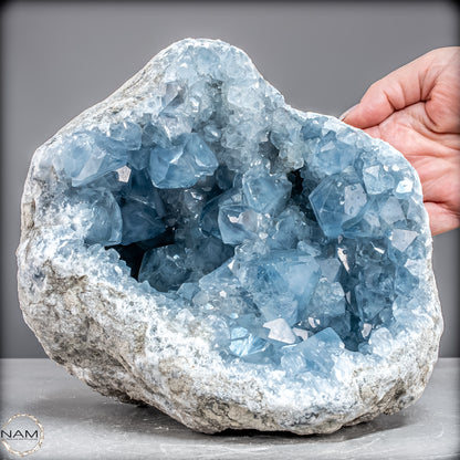 Natürliche Celestit Kristall-Druse -7258,47g