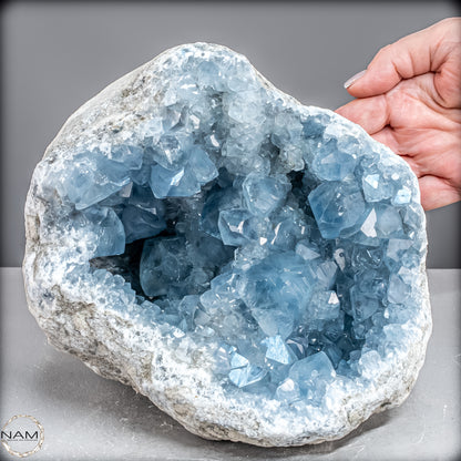 Natürliche Celestit Kristall-Druse -7258,47g