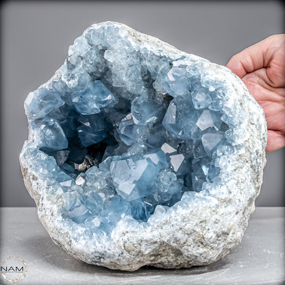 Natürliche Celestit Kristall-Druse -7258,47g