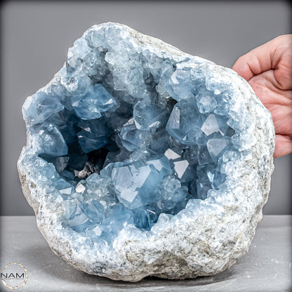 Natürliche Celestit Kristall-Druse -7258,47g