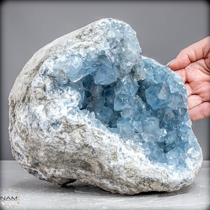 Natürliche Celestit Kristall-Druse -7258,47g