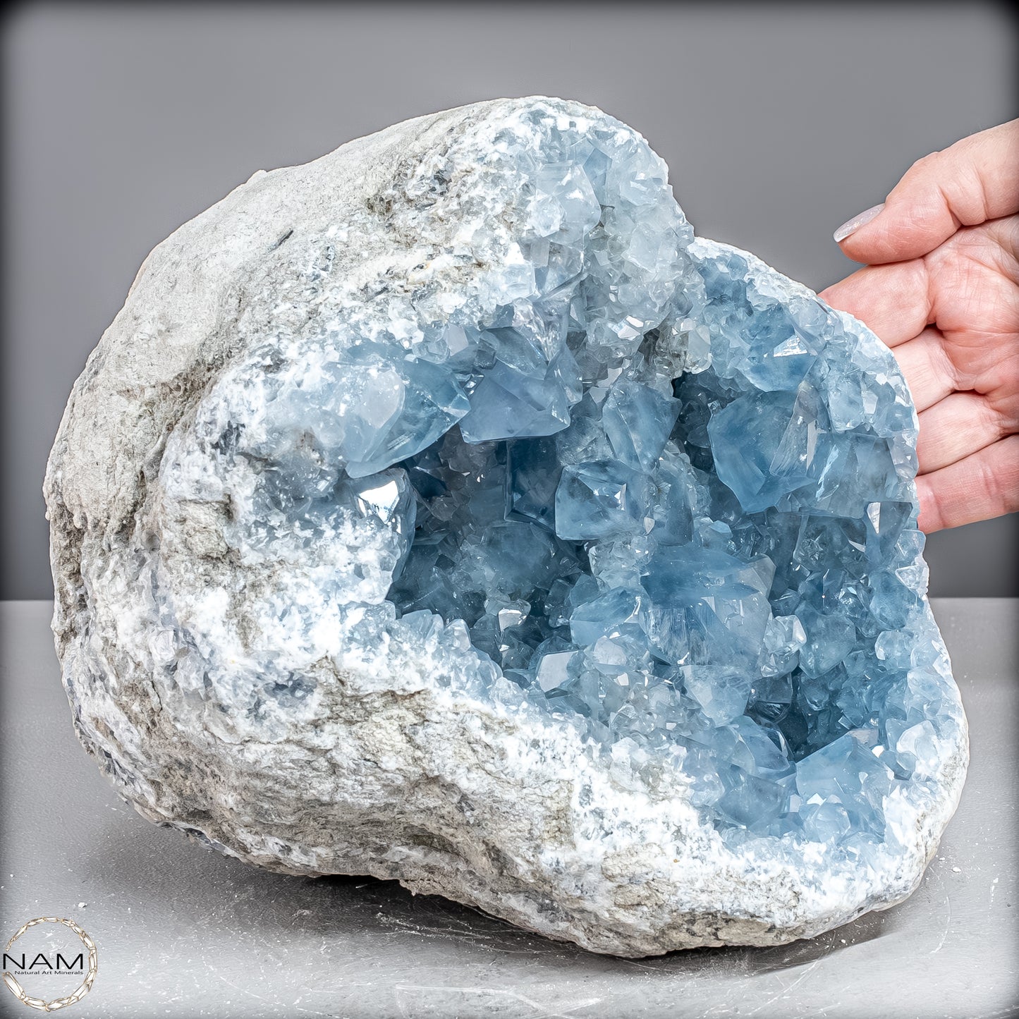 Natürliche Celestit Kristall-Druse -7258,47g