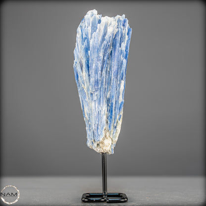 Natürlicher Kyanit-Kristall Cluster auf Ständer aus Brasilien - 438,69g